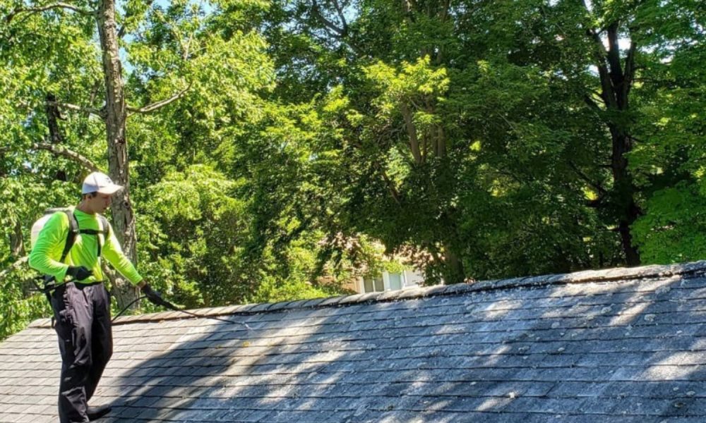 WhatsApp Image 2024-02-29 at 12.54.37 (14)