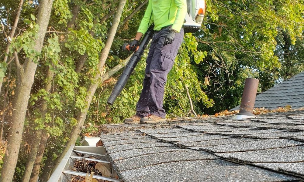 WhatsApp Image 2024-02-29 at 12.54.37 (16)