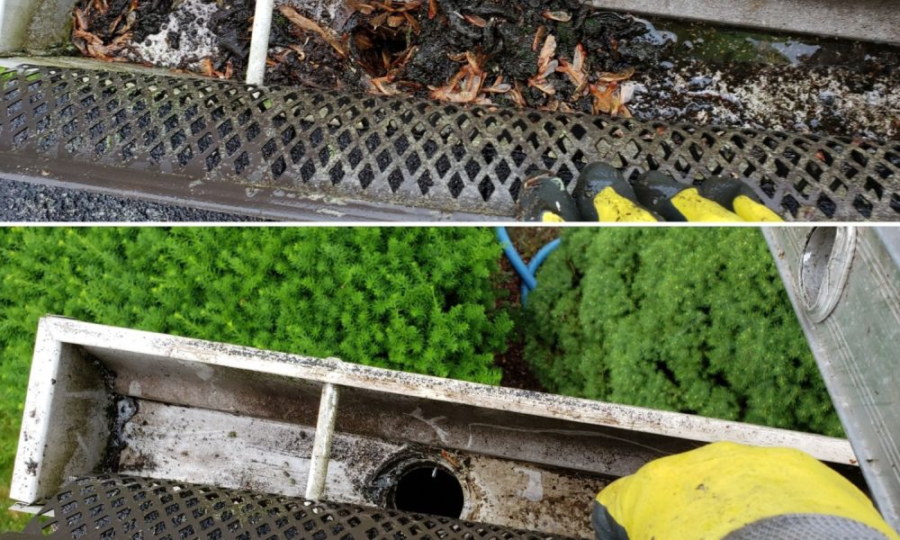 WhatsApp Image 2024-02-29 at 12.54.37